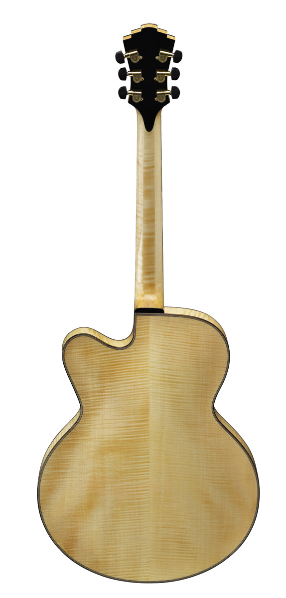 AR880CE-BD Biondo