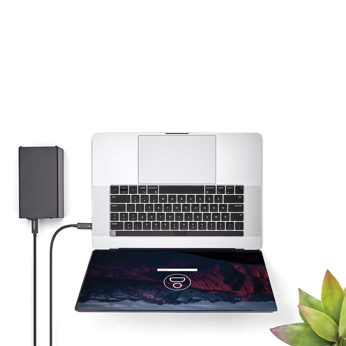 Thunderbolt 3 Cavo 2m
