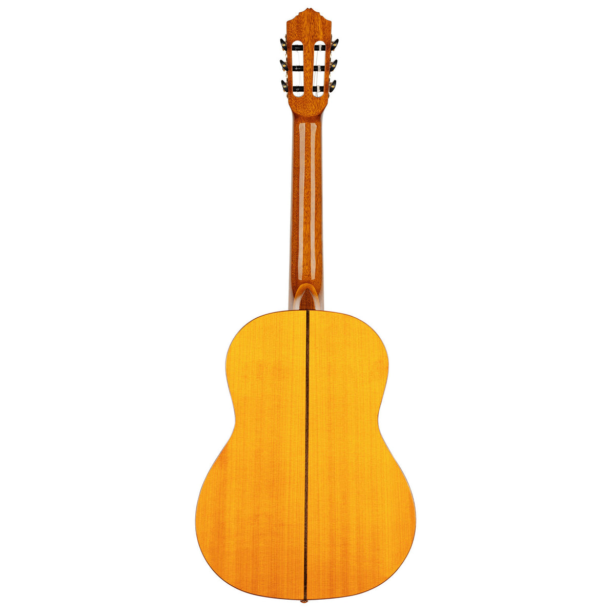 Chitarra Flamenco R170F