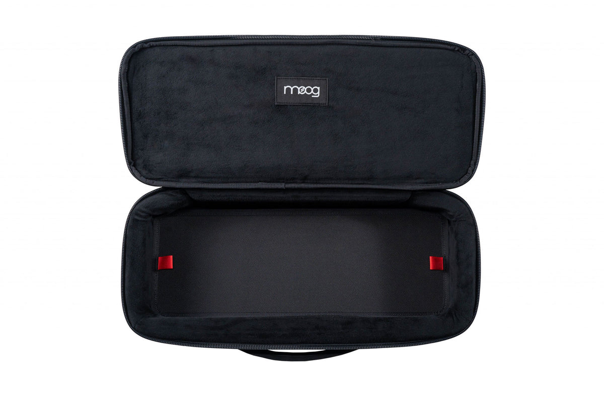 MOOG SR SERIES CASE: ETHERWAVE THEREMIN