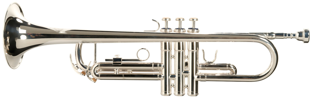 WTP400S - Sib Argentata