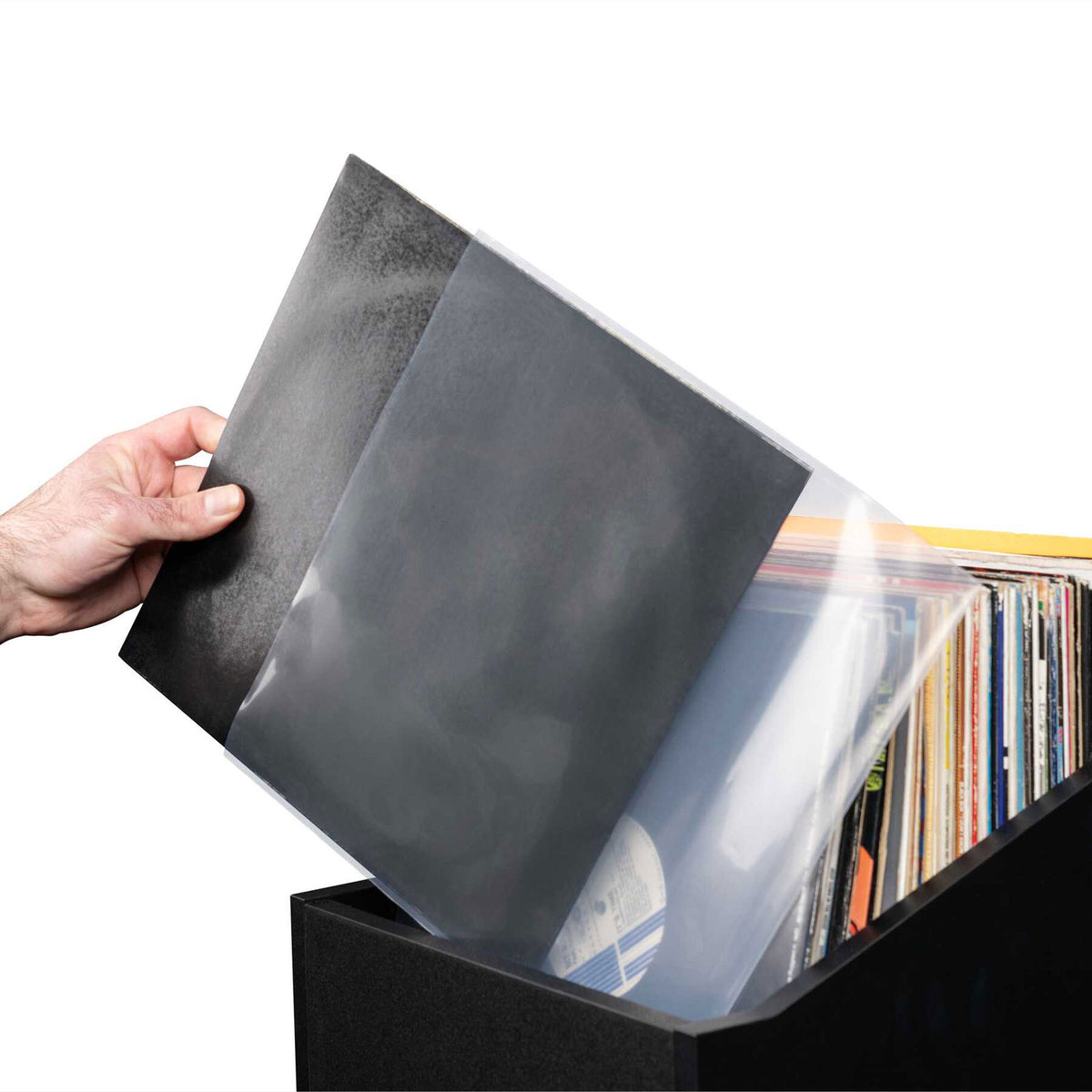 Premium 12 Vinile LP