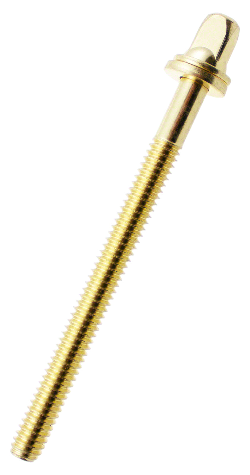 Tirante 65mm Dorato Con Rondella - Filettatura 7/32" (X10)