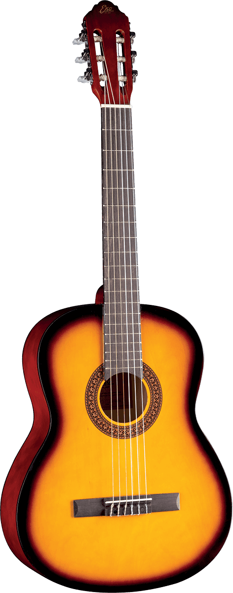 Cs-10 4/4 Sunburst + Gigbag