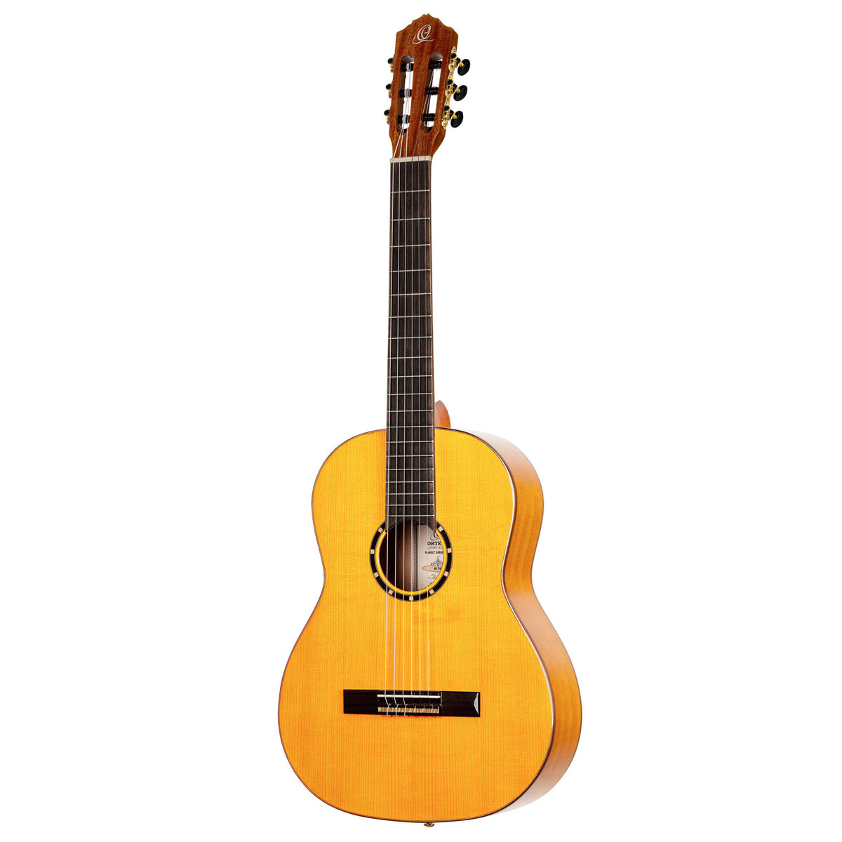 Chitarra Flamenco R170F