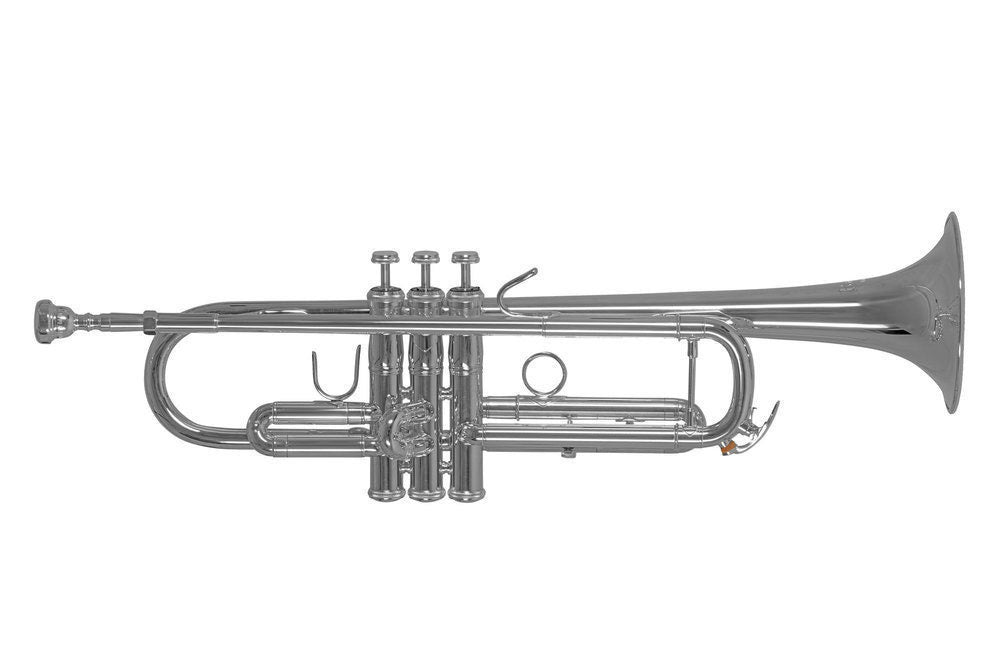 TR450S - Sib Argentata