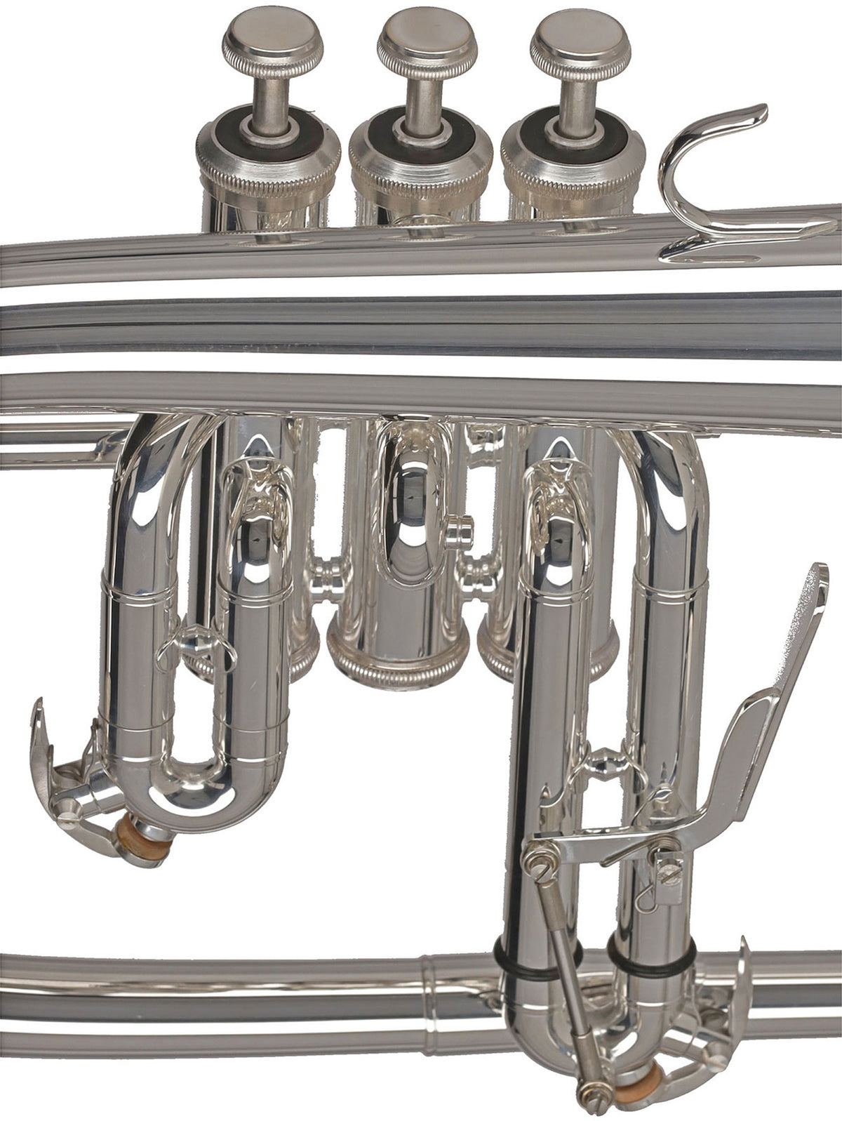 Ambition FH501S Sib Argentato