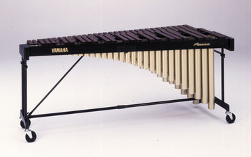 YM-24 Conservatorio