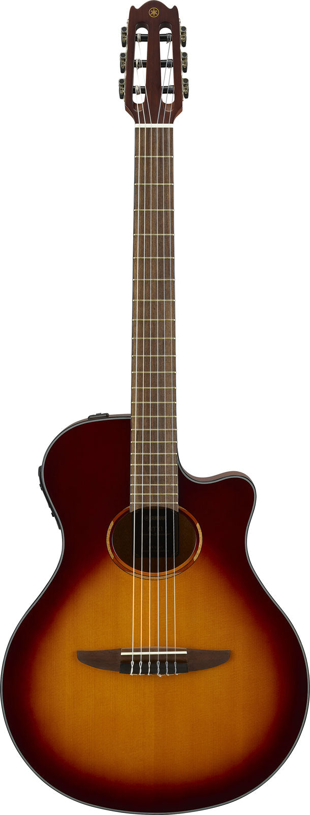 Ntx1 Sunburst marrone