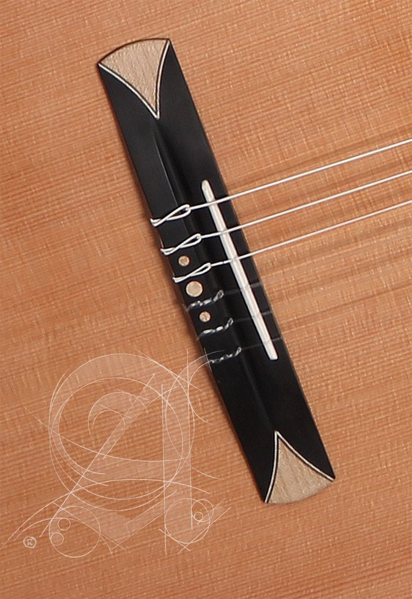 Concert CS-3 CW E8 Crossover + 9738 25MM Custodia - Ricondizionato