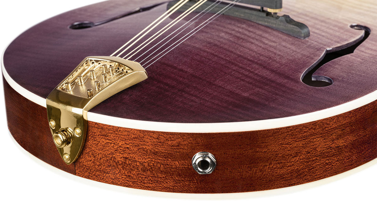 Americana Mandolino A-Style + custodia in pelle Croco
