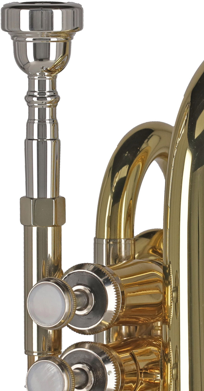 Ambition PT650 Silver Lacquered