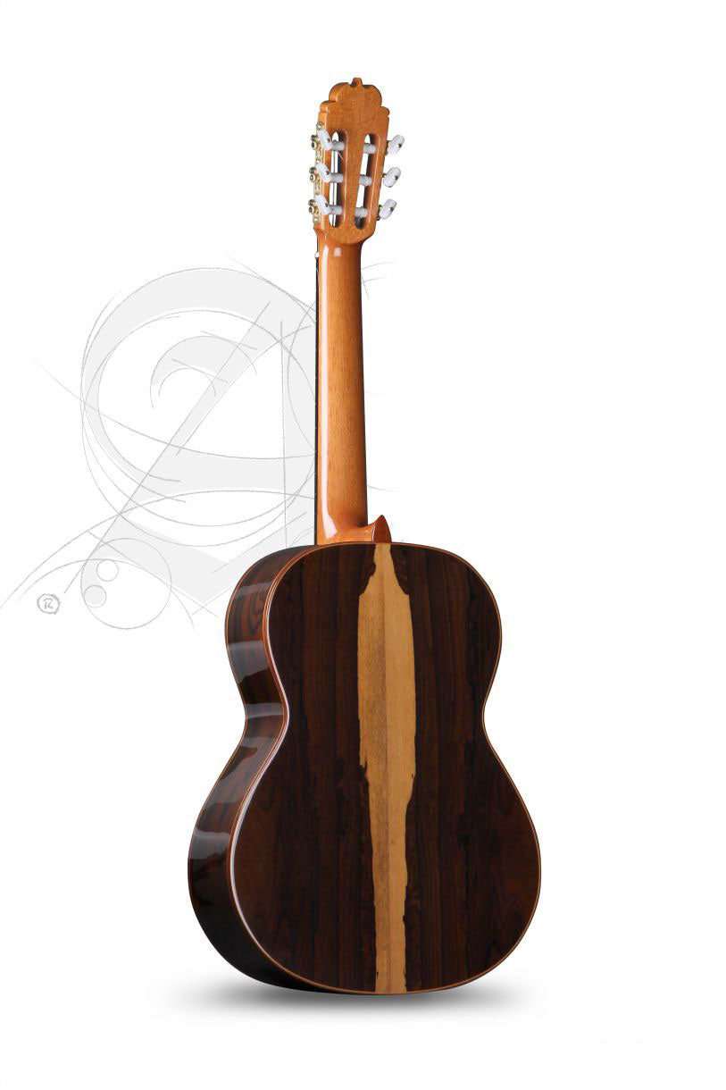 Professional Luthier Aniversario + 9650 Bam Iconic Case