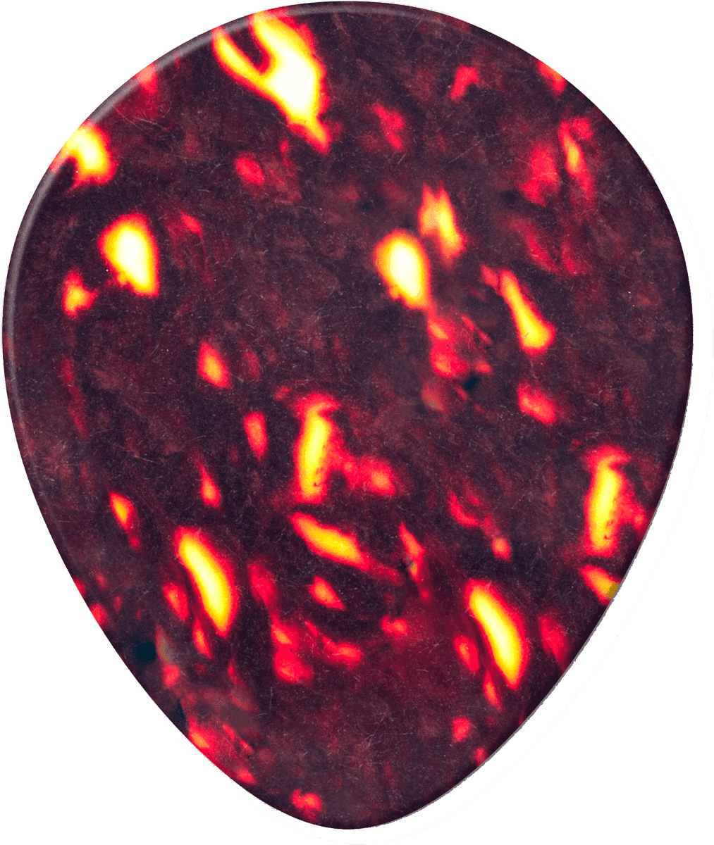 12 x Celluloide autentica media