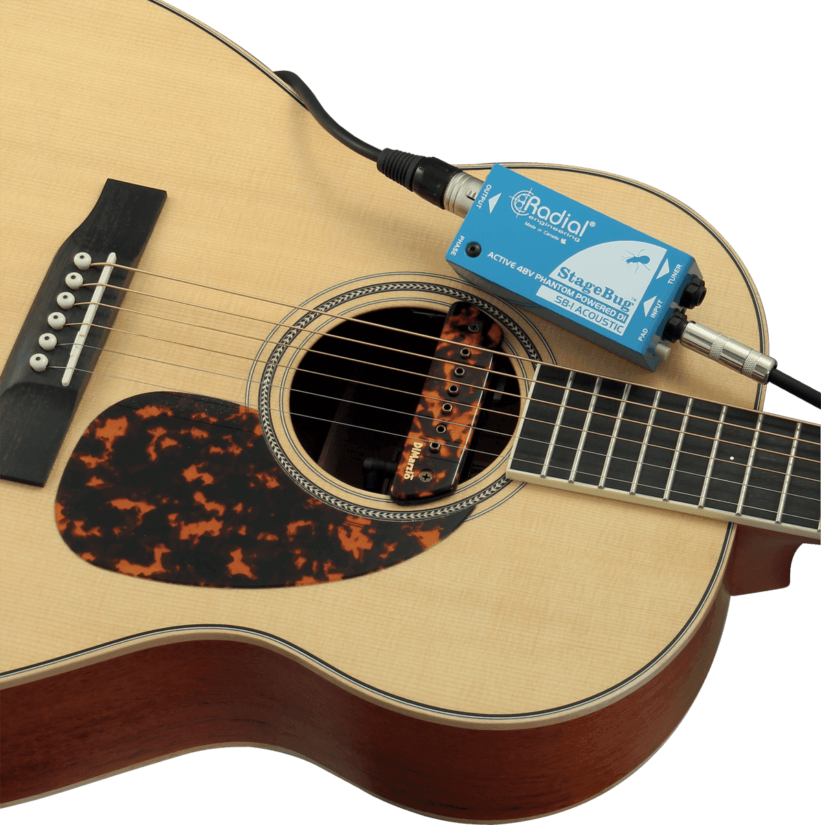 STAGEBUG-1 ACOUSTIC - DI ATTIVO