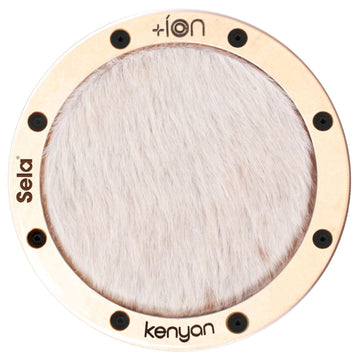 Ion for Iconic Cajon - Keniota