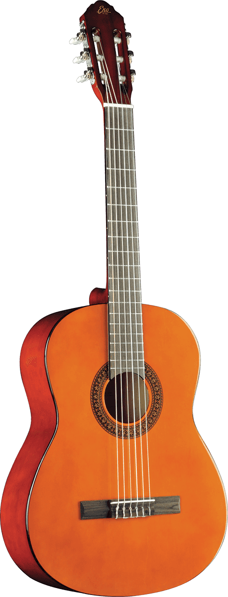 Cs-10 4/4 Natural + Gigbag