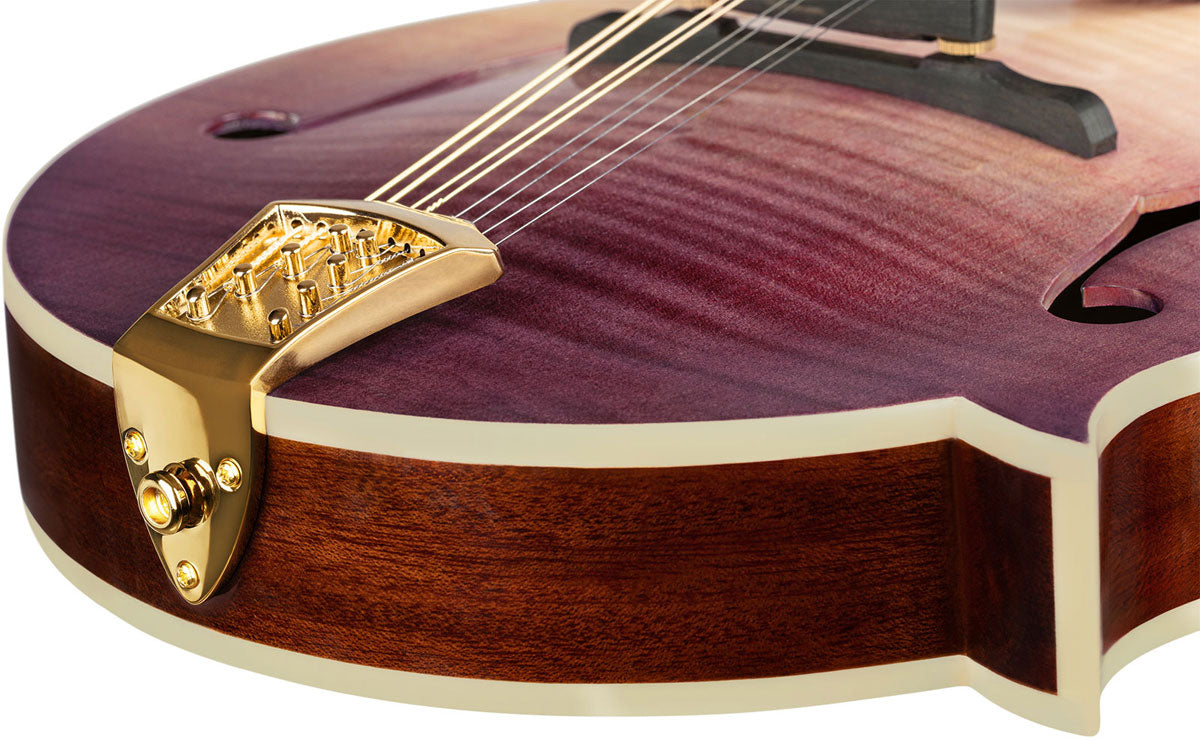 Americana Mandolino F-Style + Custodia in pelle Croco