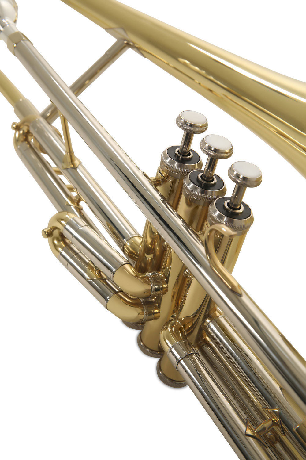 Ambition VT51 Tenore Sib Laccato