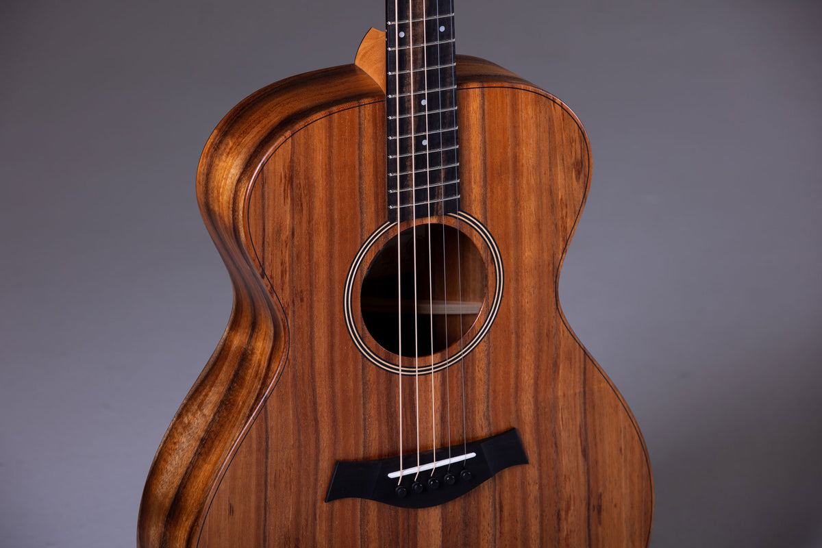 Jacob Collier Signature Model JCSM a 5 corde Natural Grand Concert