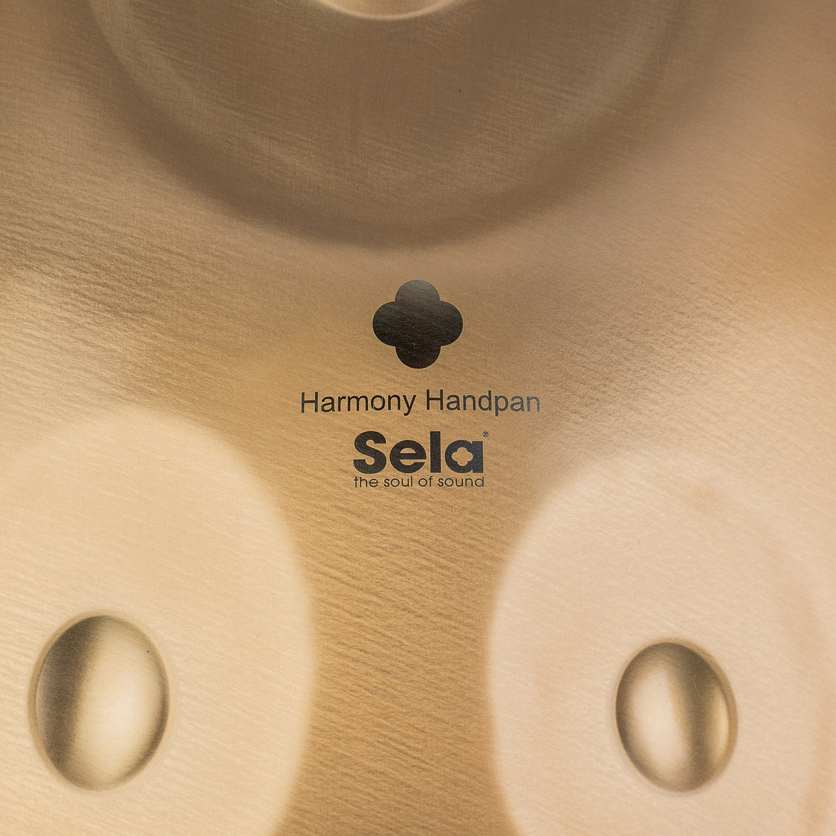 Harmony Handpan D Kurd 9+3 - Stainless Steel