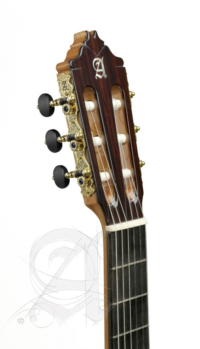 Concert 8P + 9557 Case