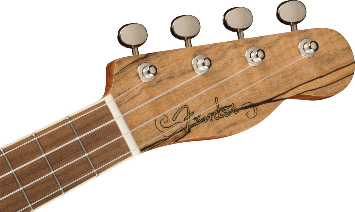 Zuma Uke Esotico Concerto Wn Spalted Maple