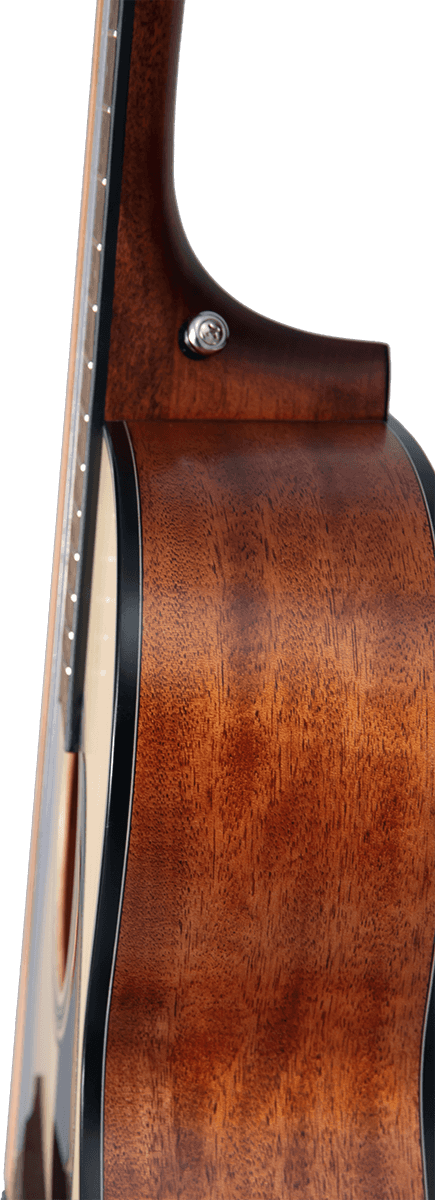 Gln12Ens 12 Nex Spruce-Mahogany