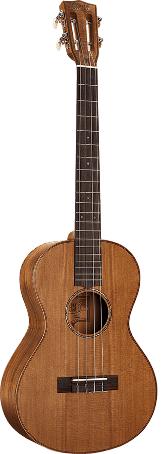 Baritono Naturale Elettrico + Custodia