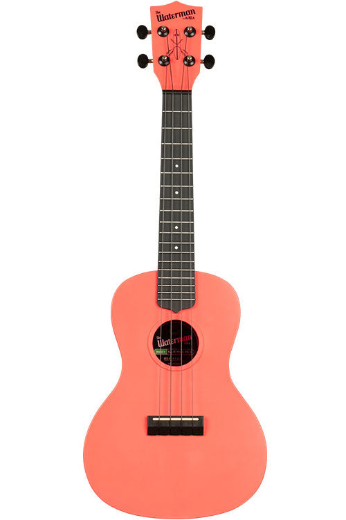 Waterman Concert Polvere rosa riciclato