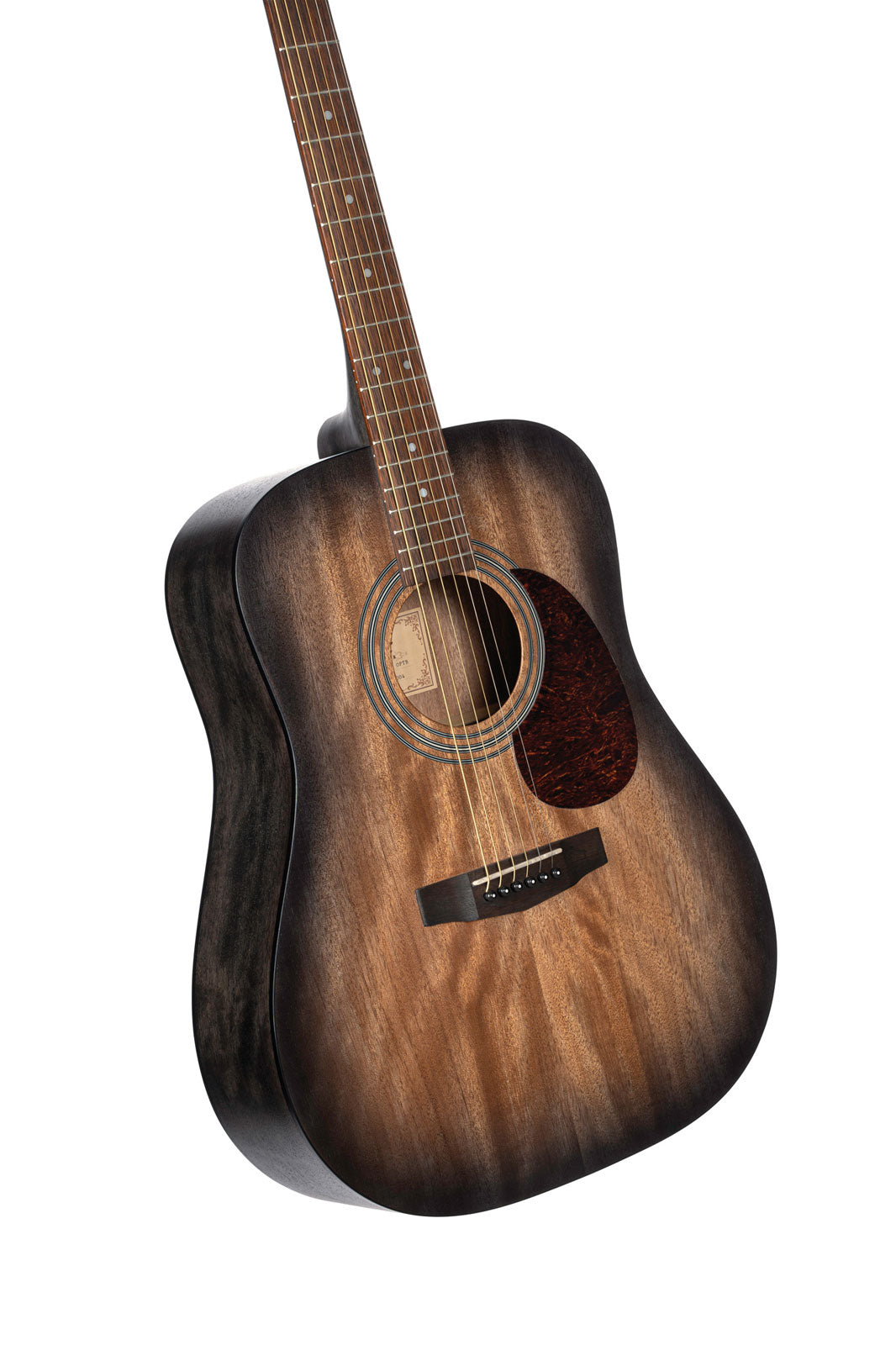Chitarra Earth60M Sfumatura nera