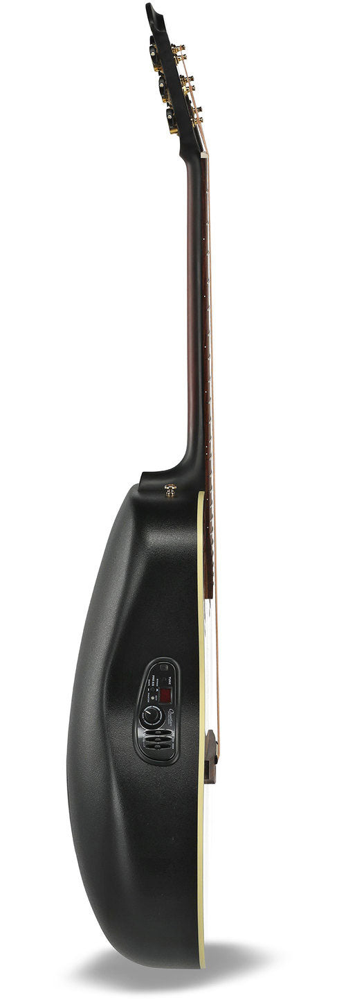 Pro Series Elite Deep Bowl 12 string Sunburst
