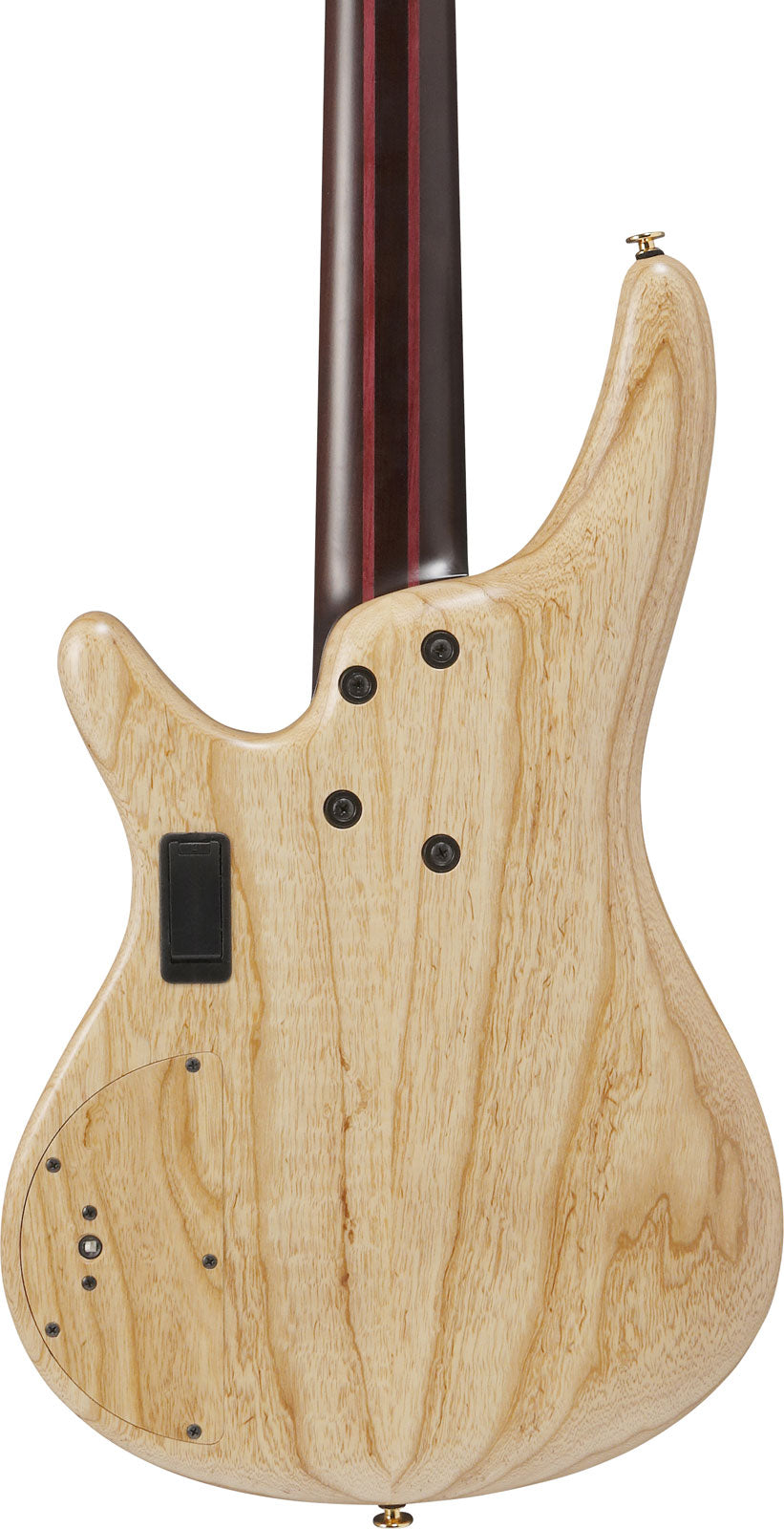 IV1SR Ibanez VISIONS