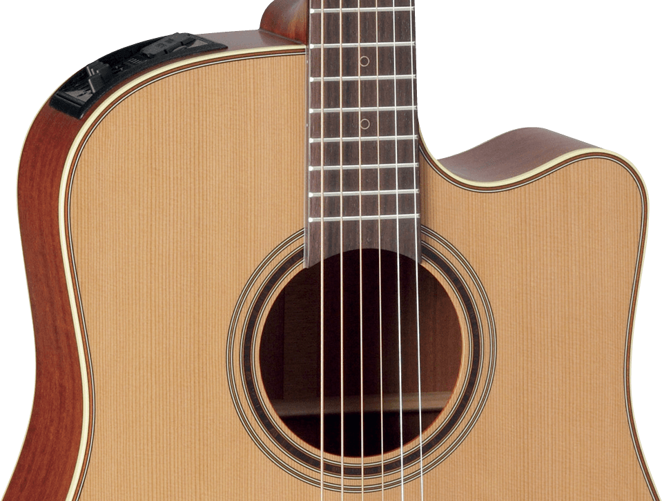 Japan Ec P3Dc Dreadnought Cutaway