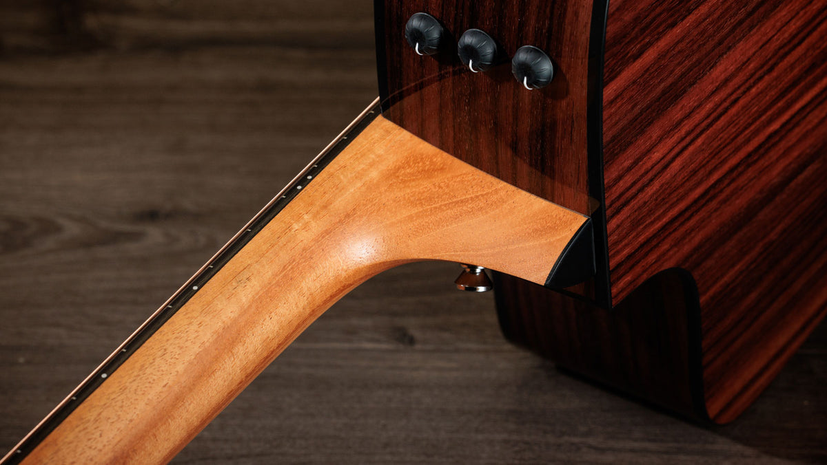 210ce Plus Dreadnought Naturale