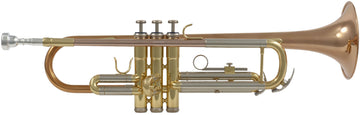 WTP400 - Si B verniciato (bandiera rosa rame)