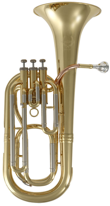 WSH200 - Sib verniciato