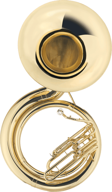 JSP1100