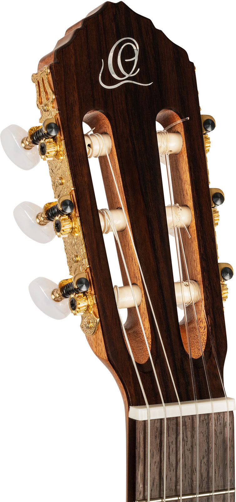 Traditional 4/4 + custodia morbida Pro