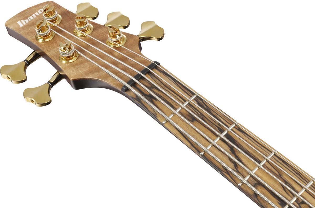 IV1SR Ibanez VISIONS