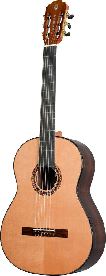 P800 Expression 4/4 + Gigbag
