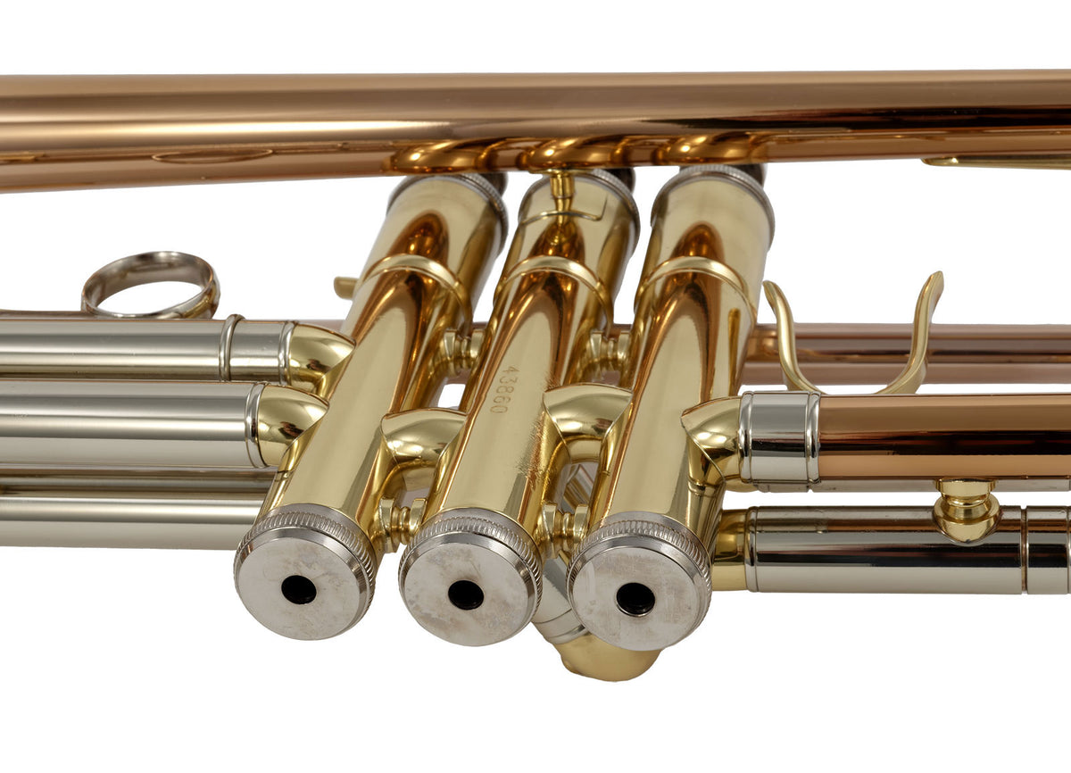 WTP400 - Si B verniciato (bandiera rosa rame)