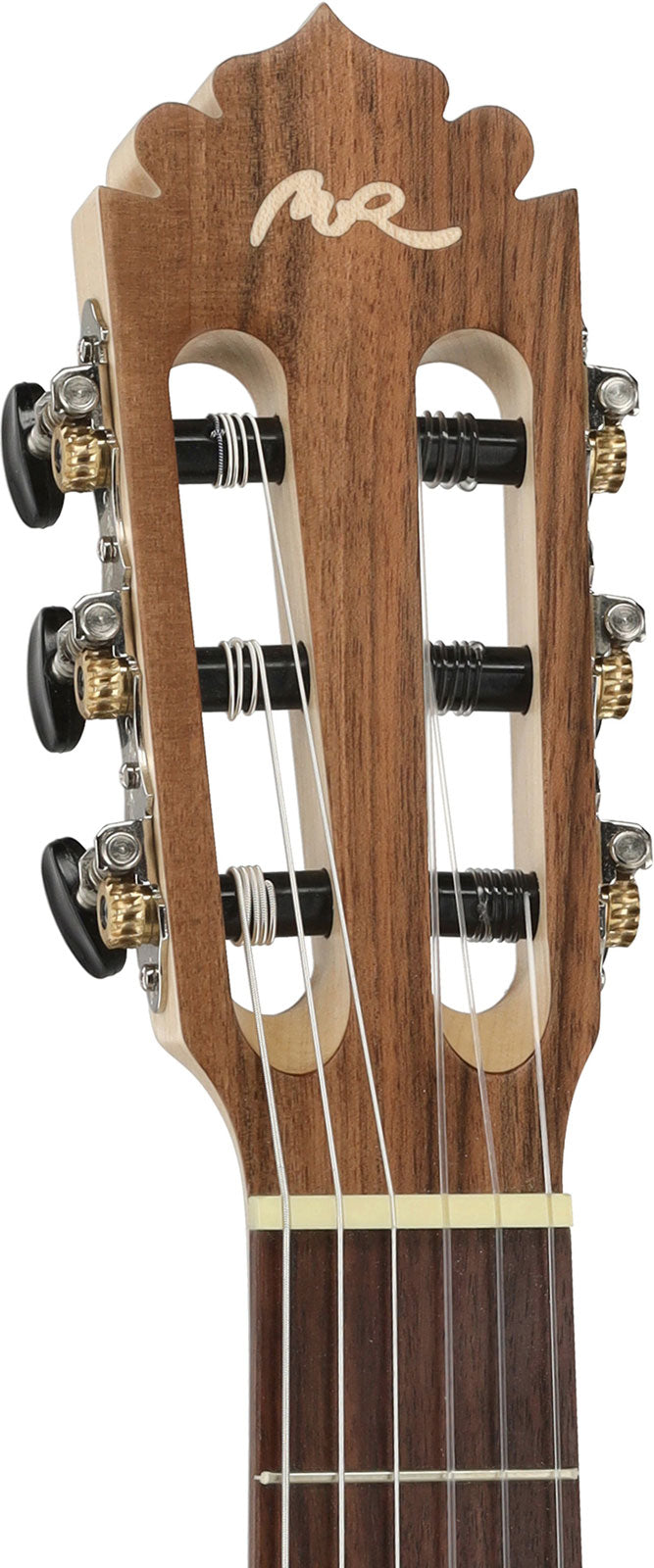 Samba Ecología Cutaway profondo, truss rod