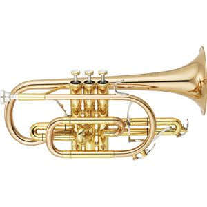 PROF. CORNET - NEO CORNO / FORO L