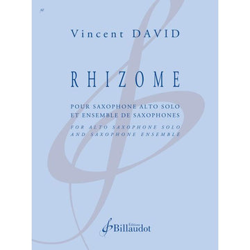 David Vincent - Rhizome