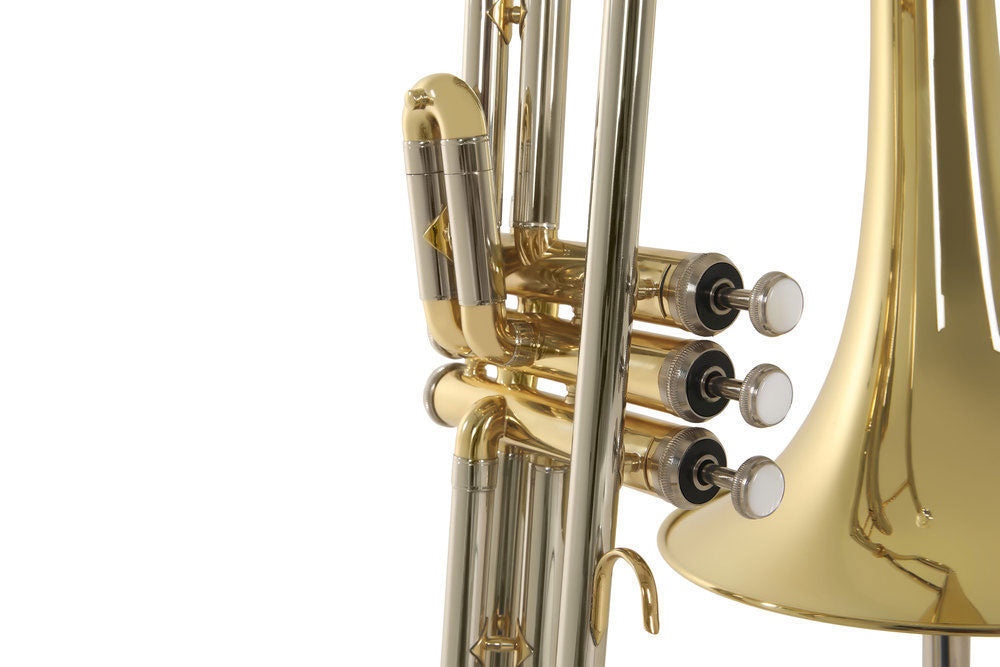 Ambition VT51 Tenore Sib Laccato