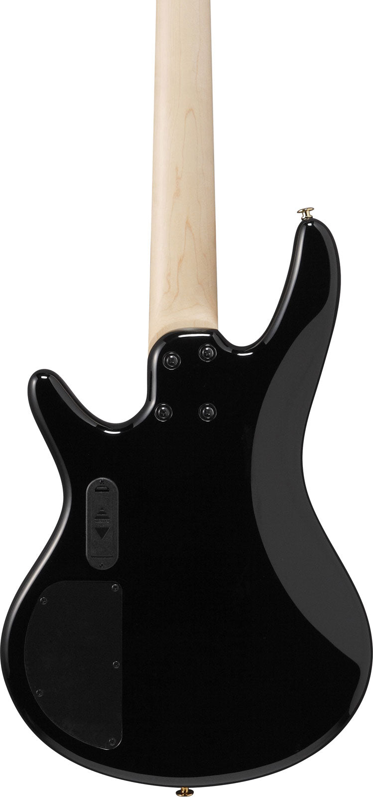 GSR205PCTPB Sfumato nero pallido trasparente