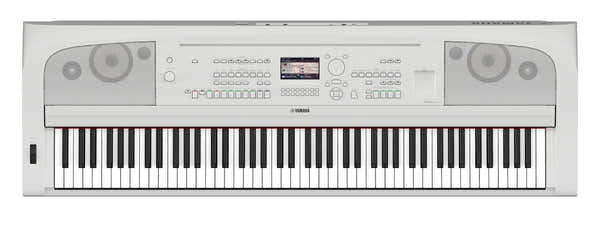 DGX-670 Bianco
