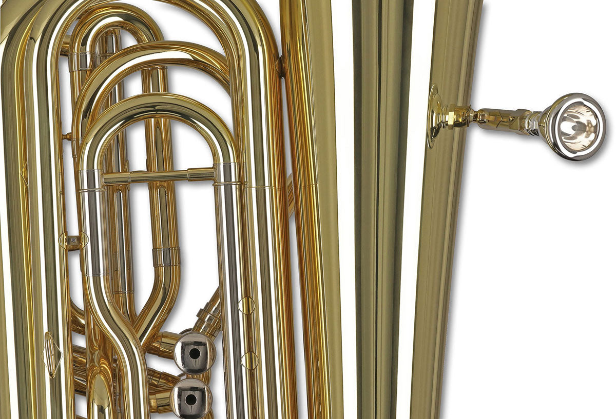 Ambition BB501B Contrabbasso Sib Verniciato