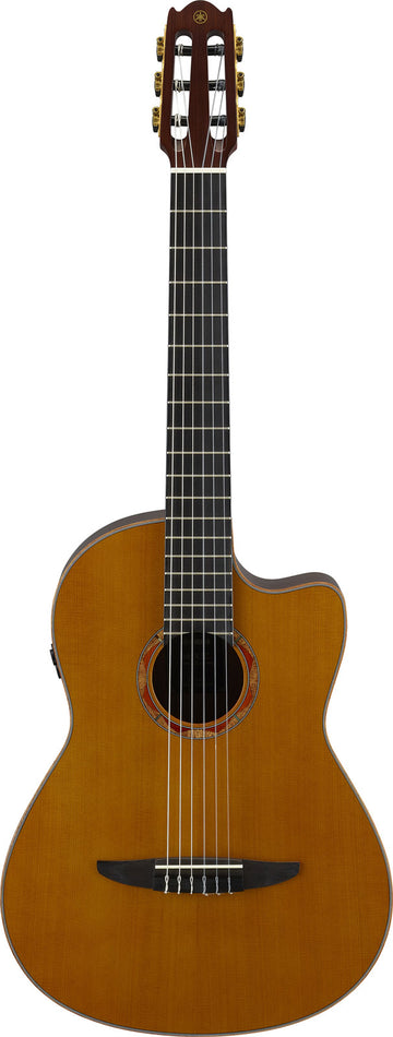Ncx3 Cedro Naturale